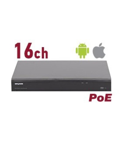 RK2216-P. Видеорегистратор IP 16-канальный. Beward в Архангельске