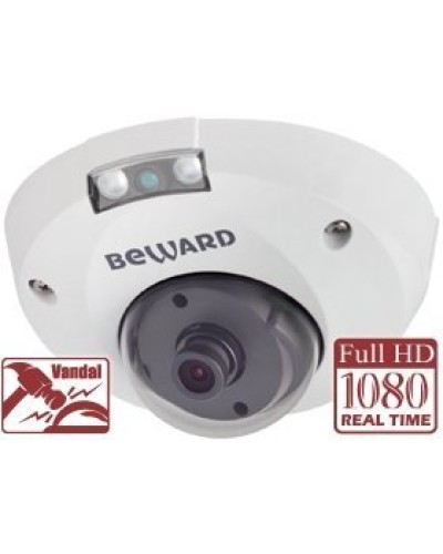 NK55630D8. IP-камера купольная. Beward в Архангельске