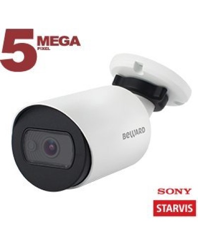 SV3210RC (6 мм). Видеокамера IP цилиндрическая. Beward в Архангельске