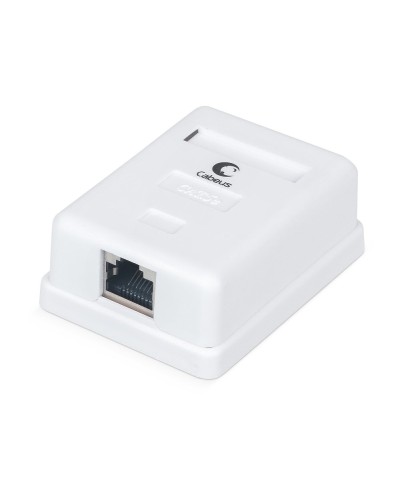 WS-8P8C-Cat.5e-SH-1 (7485c): Розетка RJ-45 в Архангельске
