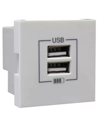Розетка USB двойная, зарядная, белая (45439 SBR): Розетка USB двойная в Архангельске
