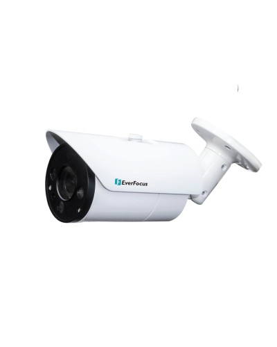 EZN-268V. Видеокамера IP купольная. EverFocus в Архангельске