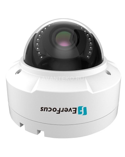 EHN-1250. Видеокамера IP купольная. EverFocus в Архангельске