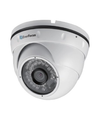 EBN-268. Видеокамера IP купольная. EverFocus в Архангельске