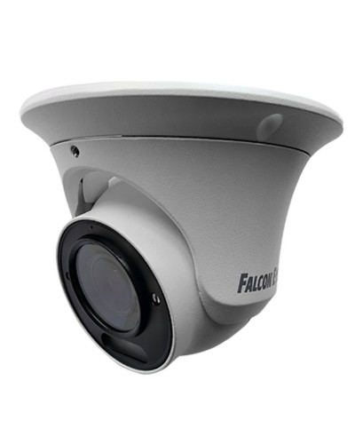 FE-IPC-DV2-40pa. Видеокамера IP купольная. Falcon EYE в Архангельске