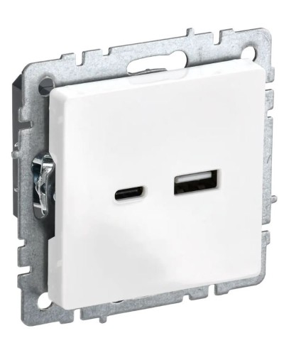 Розетка USB A+C 18Вт РЮ11-1-БрБ белый BRITE (BR-U22-018-K01). Розетка USB. IEK в Архангельске