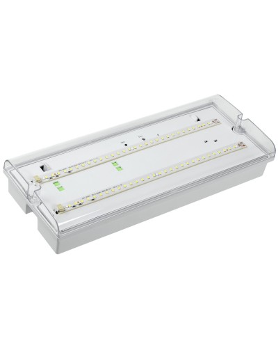 Светильник аварийный ДПА 5042-1 1ч IP65 LIGHTING (LDPA0-5042-1-65-K01). Светильник аварийный универсальный. IEK в Архангельске