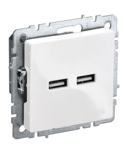 Розетка USB A+A 3,1А РЮ10-1-БрБ белый BRITE (BR-U21-D31-K01). Розетка USB. IEK в Архангельске