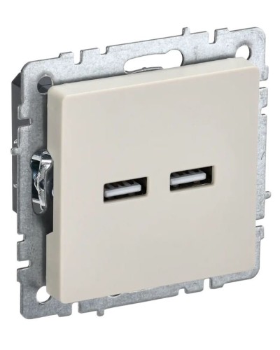 Розетка USB A+A 3,1А РЮ10-1-БрКр бежевый BRITE (BR-U21-D31-K10). Розетка USB. IEK в Архангельске