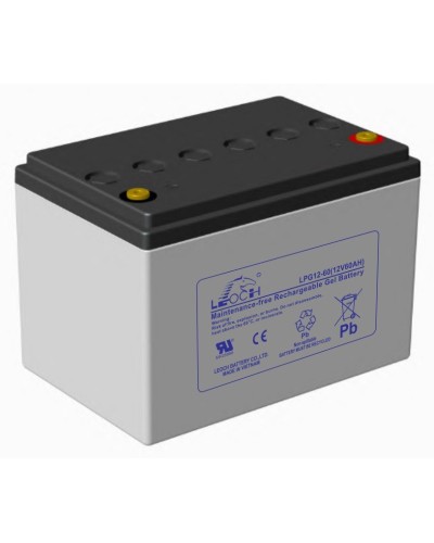 LEOCH LPG 12-60. Аккумулятор герметичный свинцово-кислотный. LEOCH в Архангельске