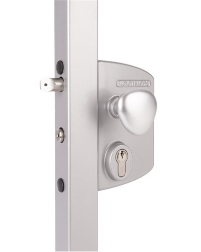 LIKQ4040 U2L (цвет: RAL 9005, черный). Замок электромеханический для калиток. Locinox в Архангельске