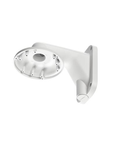 RVi-1BWM-5 white. Кронштейн настенный. RVi в Архангельске