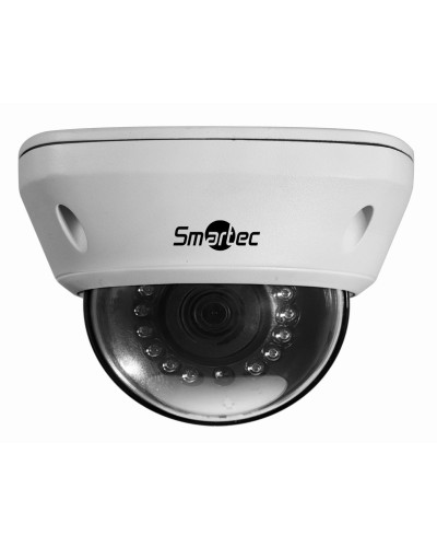 STC-IPM5591/1. Видеокамера IP купольная. Smartec в Архангельске
