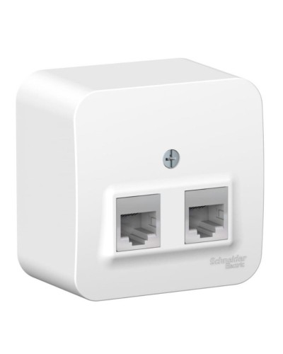 BLANCA розетка RJ11+RJ45, 2-местная, кат. 5Е, открытой установки, белый (BLNIA045111). Розетка компьютерная + телефонная с изолированной пластиной. Systeme Electric в Архангельске