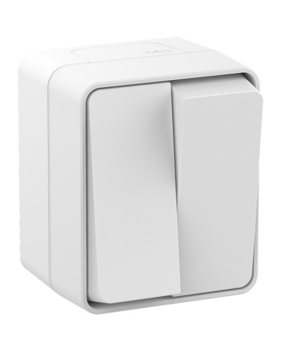 AtlasDesign PROFI54 выключатель 2-клавишный, открытой установки, белый (ATN540151). Выключатель. Systeme Electric в Архангельске