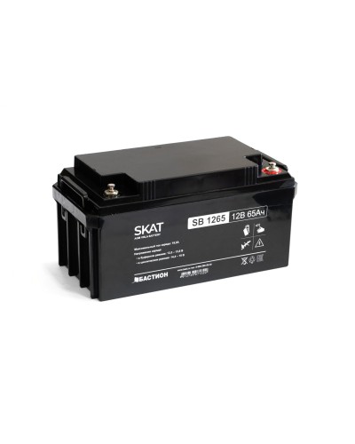 SKAT SB 1265 (2541). Аккумулятор герметичный свинцово-кислотный. Бастион в Архангельске