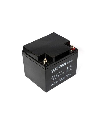 SKAT SB 1240 (2538). Аккумулятор герметичный свинцово-кислотный. Бастион в Архангельске