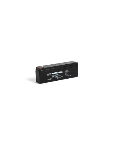 SKAT SB 12022 (2539). Аккумулятор герметичный свинцово-кислотный. Бастион в Архангельске