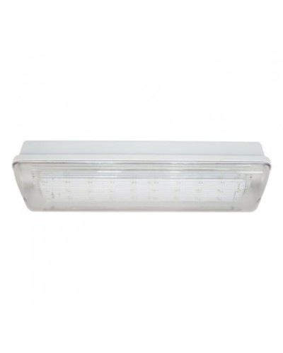 SL-223-30LED1.8 исп. 1, IP65. Светильник аварийного освещения. ИП Раченков А.В. в Архангельске