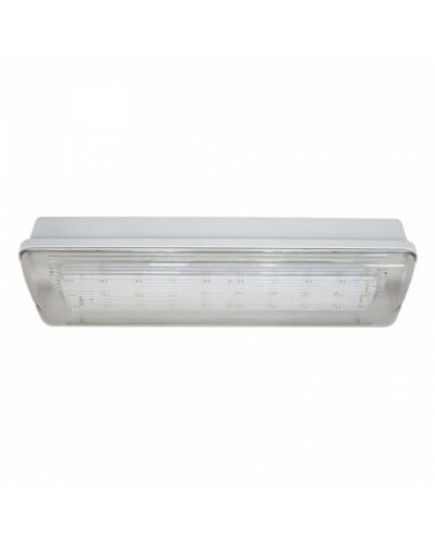 SL-213-30LED1.8 исп. 1 IP65. Светильник аварийного освещения. ИП Раченков А.В. в Архангельске