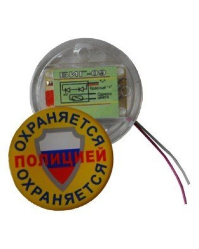 БИГ-09 н.р.. Индикатор прибытия наряда. ПЭАП (Альфатех-Центр) в Архангельске