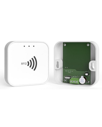 RFID-TM. Считыватель RFID. Ритм в Архангельске